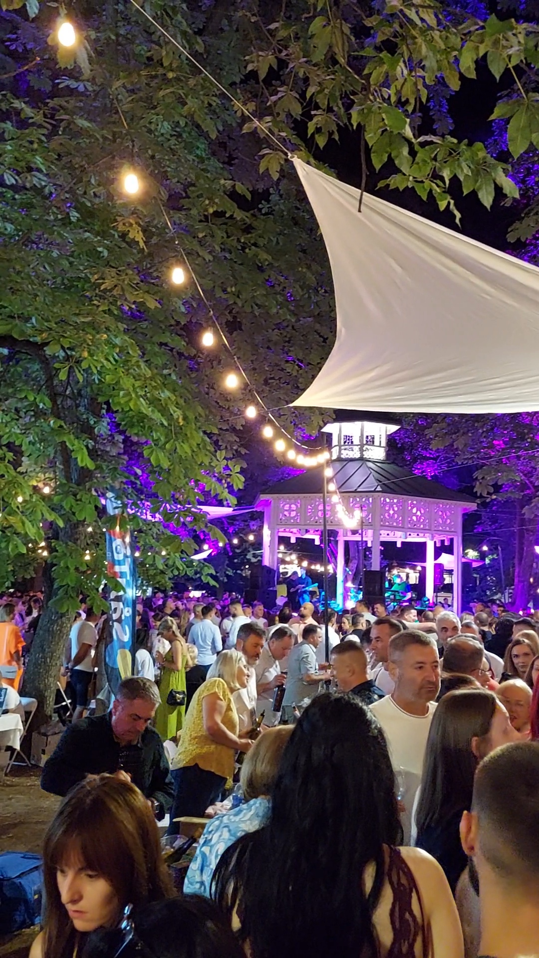Vina Dragić prvi put na Festivalu vina u Vrnjačkoj Banji
